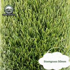 Stemgrass